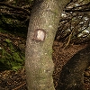 Plants: image 41 Of 208 Thumb
